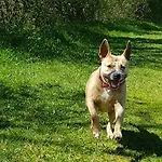Appartamento Pichlarn Aigen im Ennstal