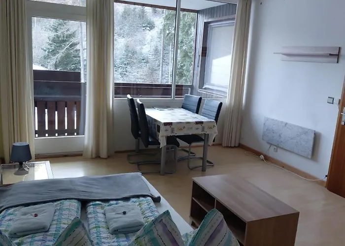 Pichlarn Apartment Aigen im Ennstal