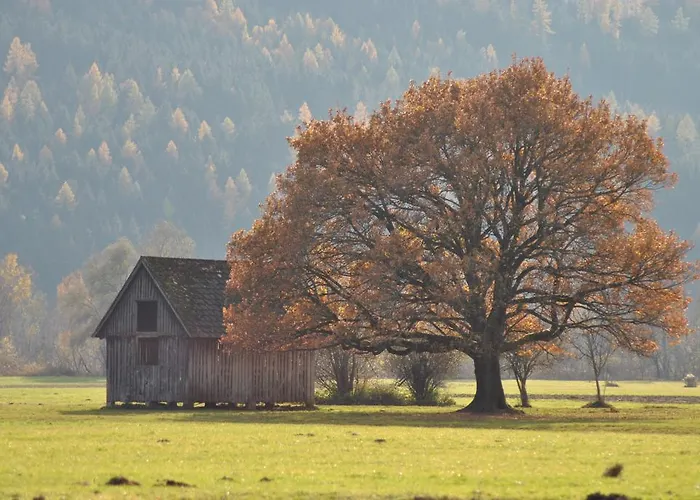 Pichlarn Aigen im Ennstal