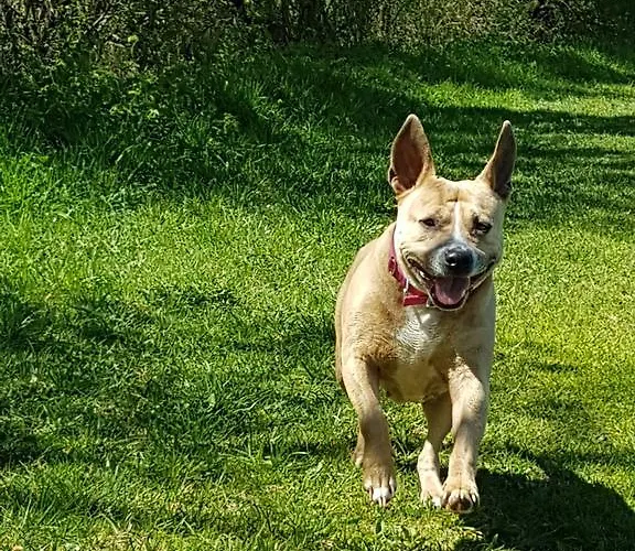 Apartment Pichlarn Aigen im Ennstal